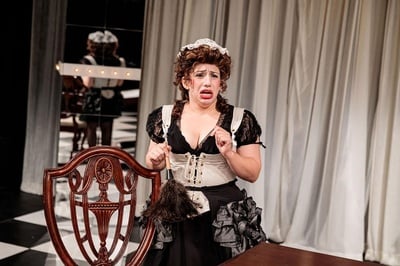 Cover image for Hub Theatre Tartuffe Dorine