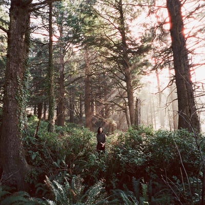 Cover image for ‘Seed of a Seed’ Album Review: Haley Heynderickx Blooms at Her Most Introspective