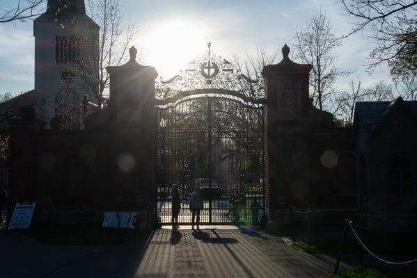 Cover image for If Harvard Won’t Stand Up, Who Will?