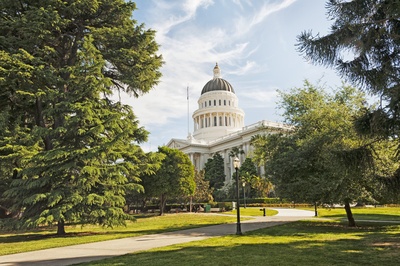 Cover image for Capital Fellows Program Image #1