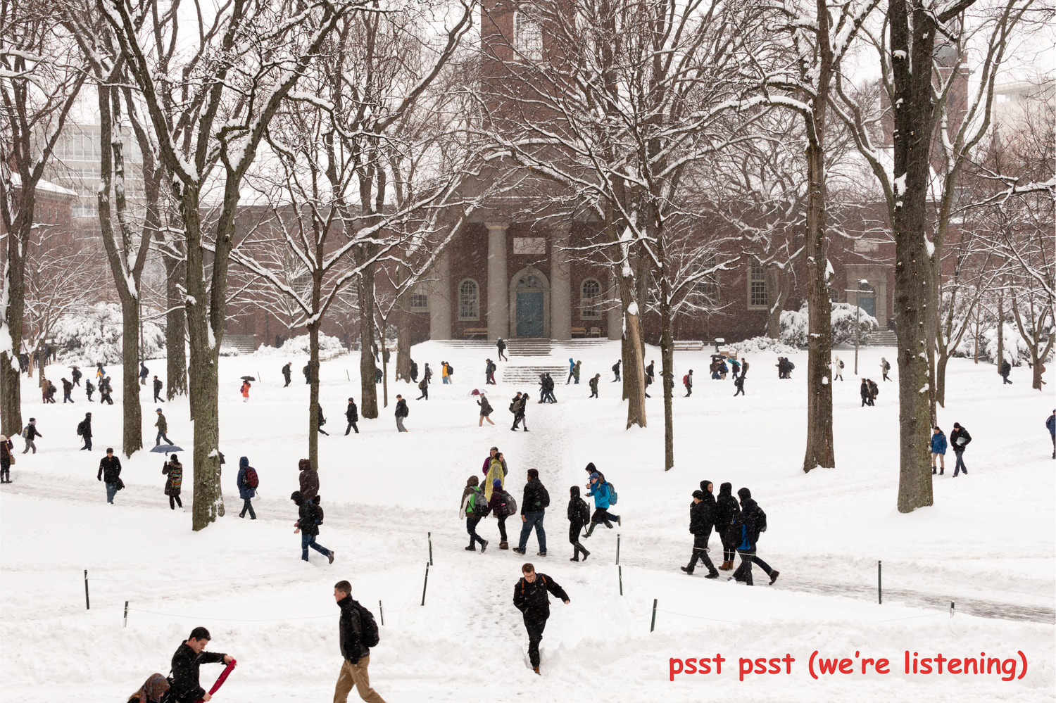 Students walking through the snow in Tercentenary Theater.