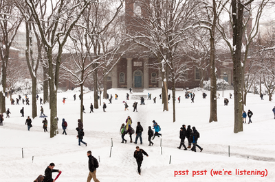 Cover image for Snowstorm in Tercentenary Theatre, plus Comic Sans
