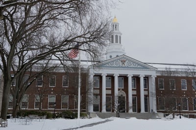 Cover image for Amy Bernstein Named Harvard Business Review Editor in Chief