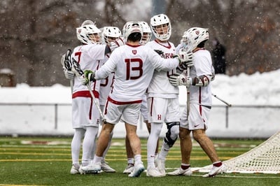 Cover image for Lacrosse Team Huddle