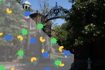 Cover image for Harvard Sees Surge in Flu Cases Following National Trend