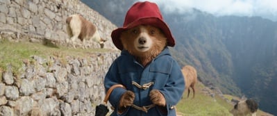 Cover image for ‘Paddington in Peru’ Still