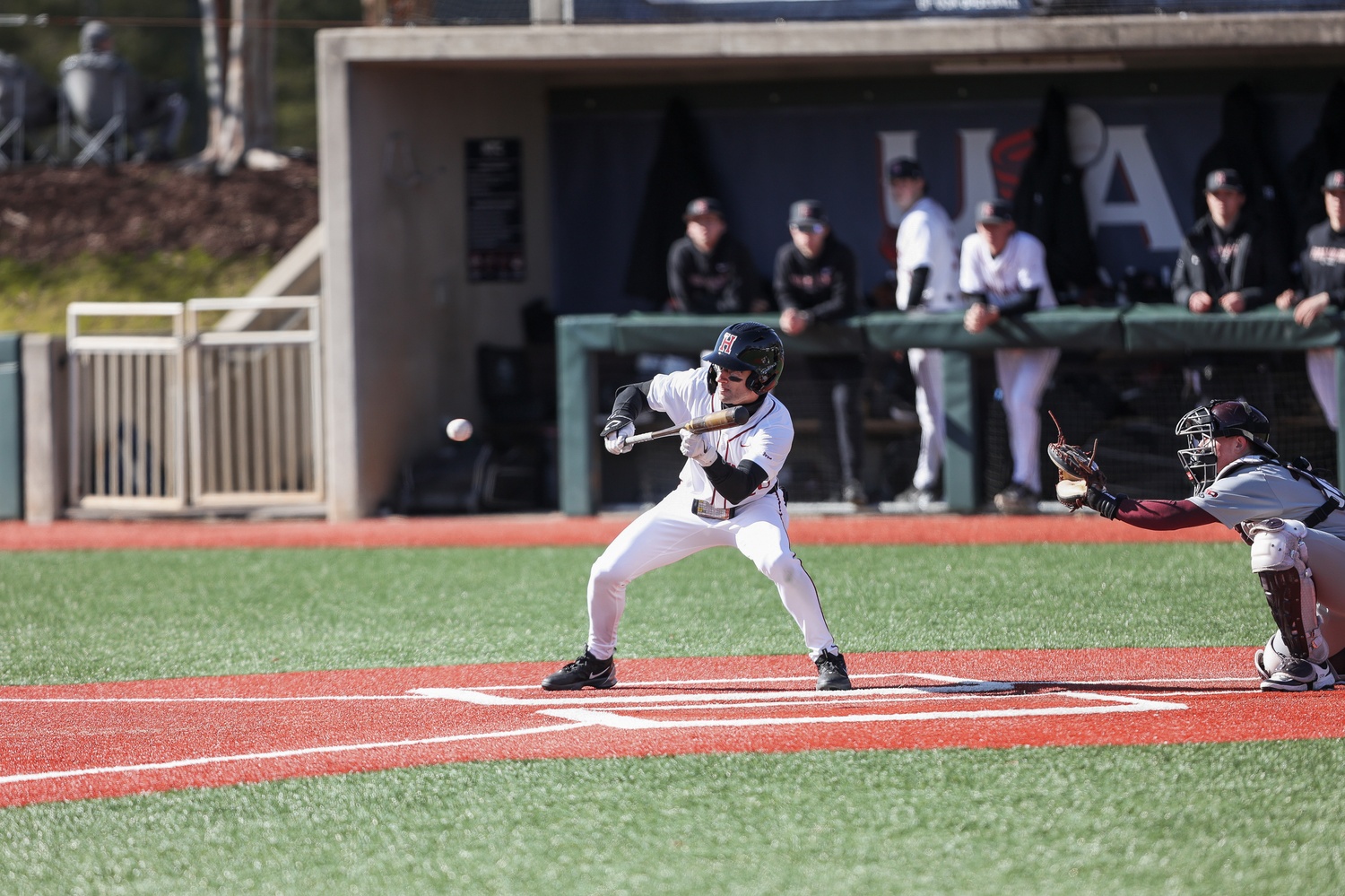 Harvard's baseball team returns to action against a highly-ranked University of Florida this weekend.