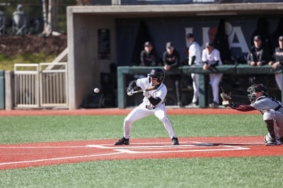 Cover image for Harvard Baseball Shows Grit in Series Loss Against Michigan State