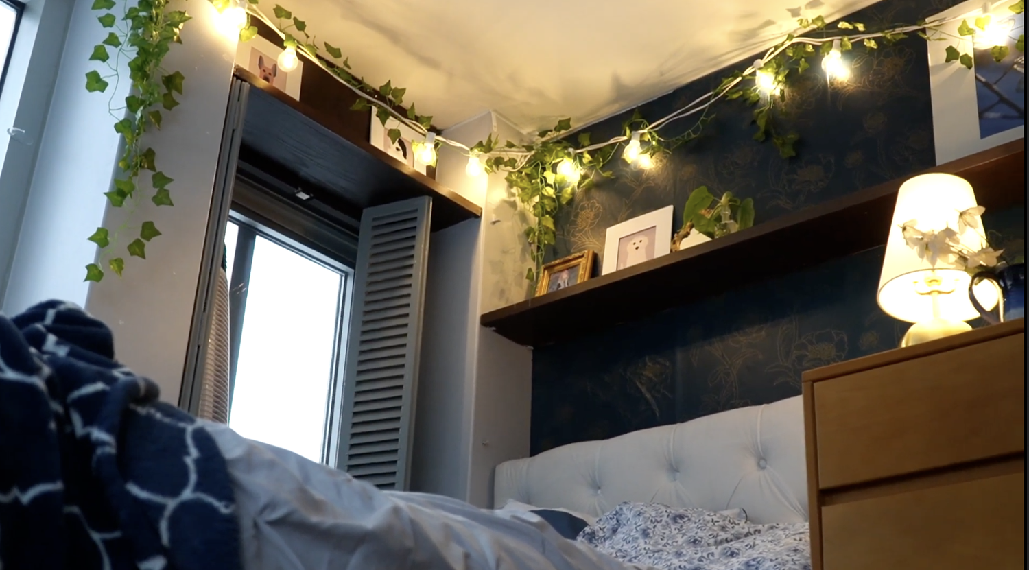 The beautiful natural lighting in a bedroom in one of Leverett House's towers.
