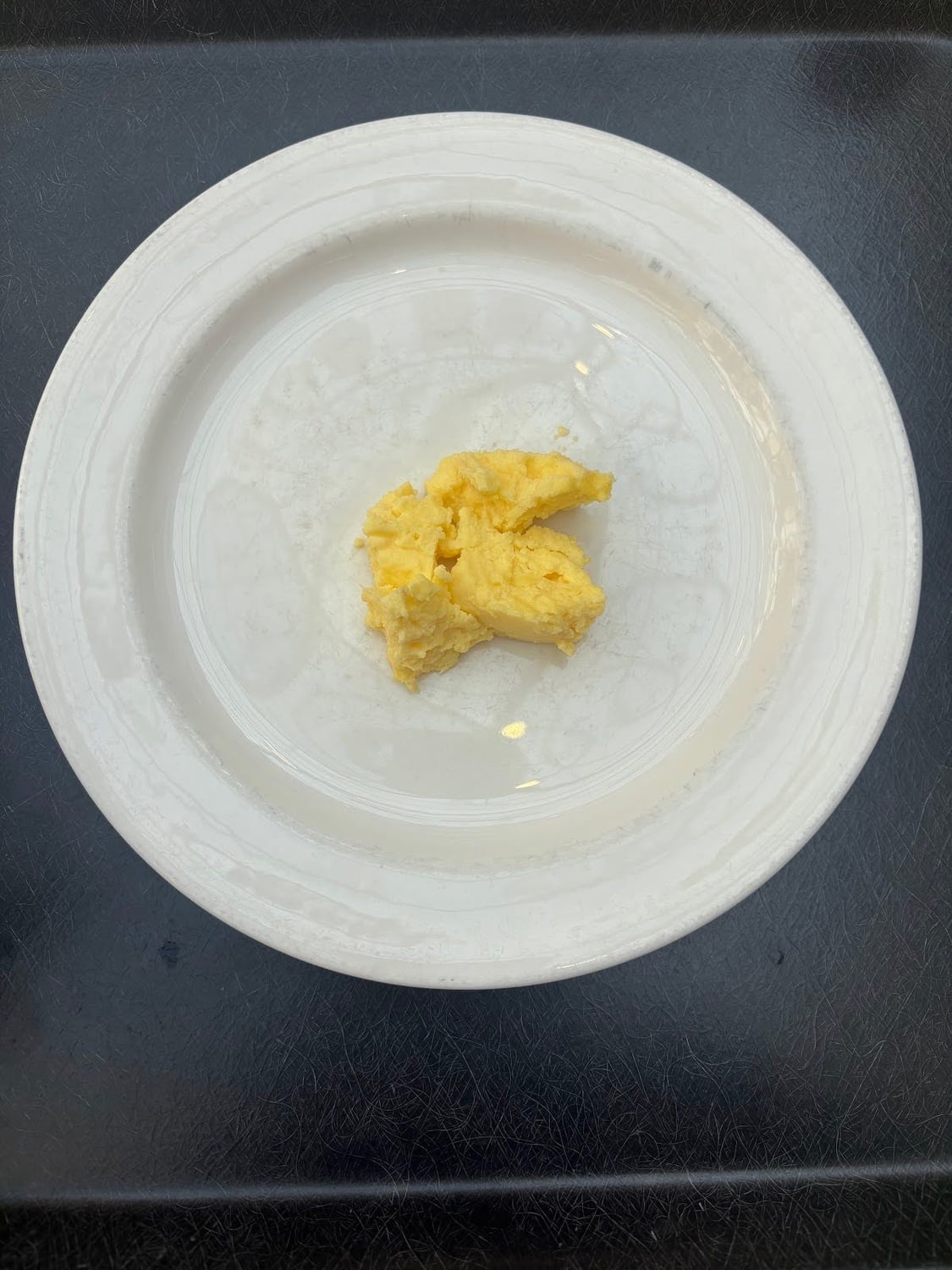 Wall syndrome in the eggs at Adams House.