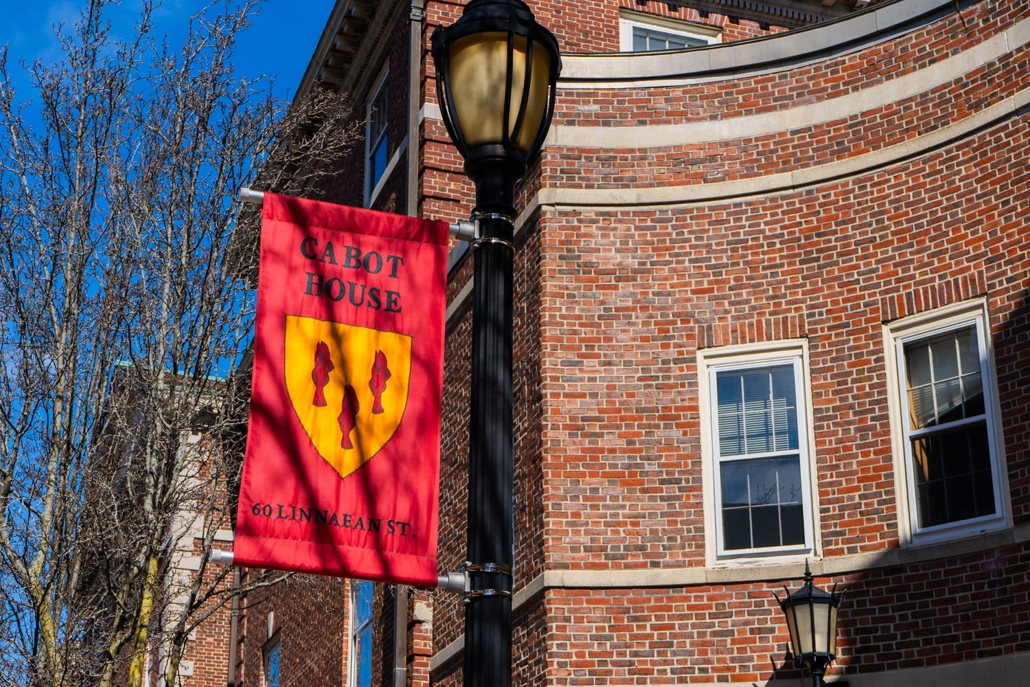 Cabot House's banner, complete with the 'three fishketeers.'