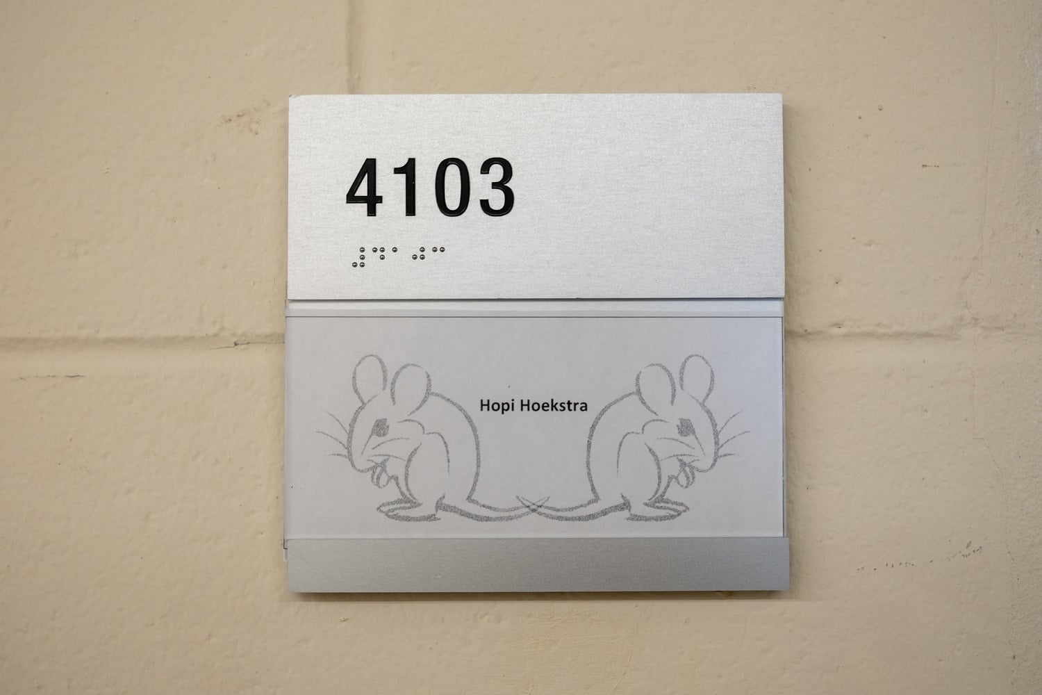 Hoekstra's name tag outside of her lab.