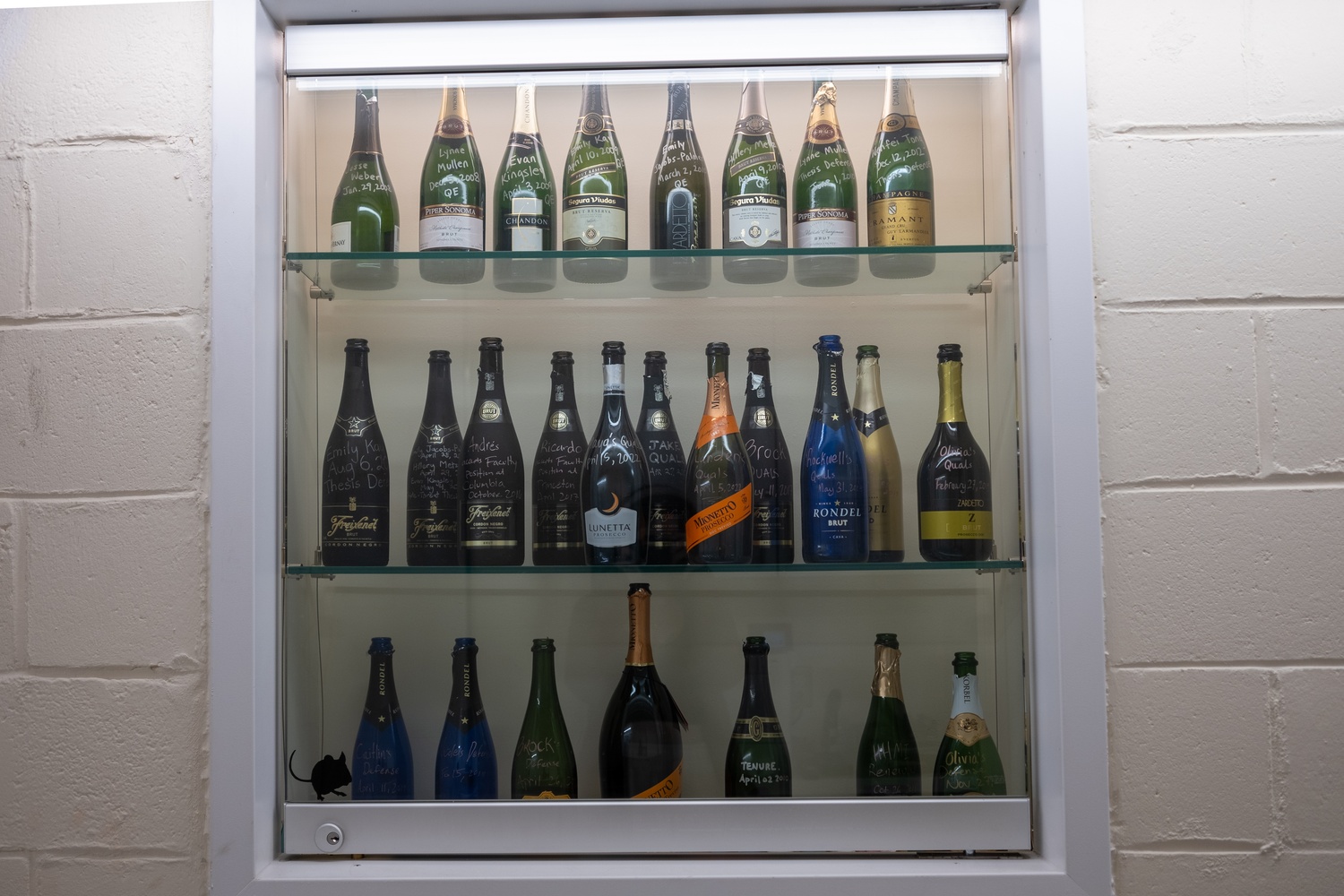 A case of champagne bottles in the BioLabs, celebrating Hoekstra's tenure and her students' high points in their academic careers.