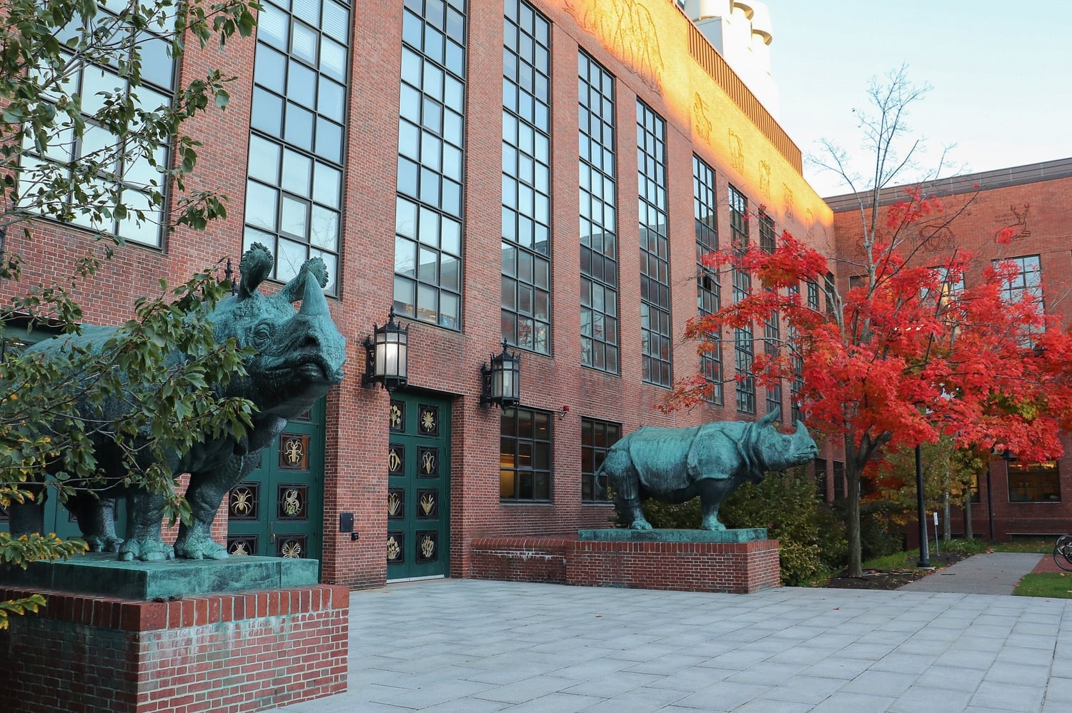 The rhino statues, sculpted by Katharine Lane Weems, in the Biological Laboratories courtyard.