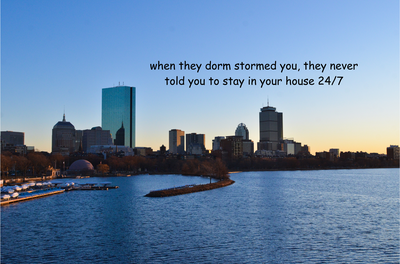 Cover image for The Harvard Houses as Boston Neighborhoods