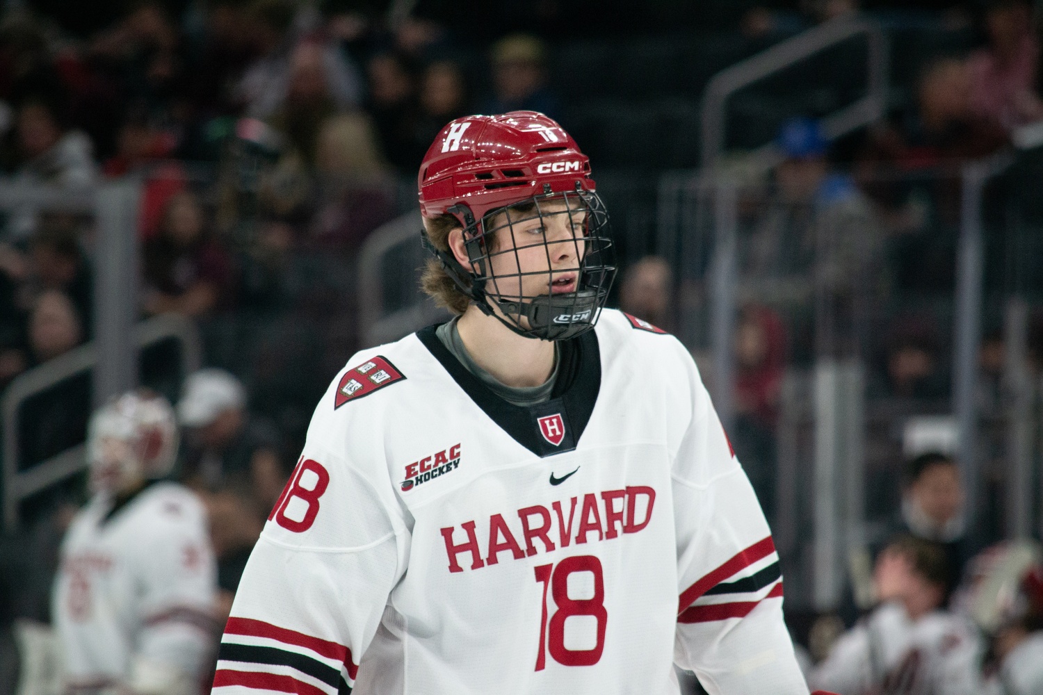 Sophomore forward Michael Callow skates during a matchup earlier this season.