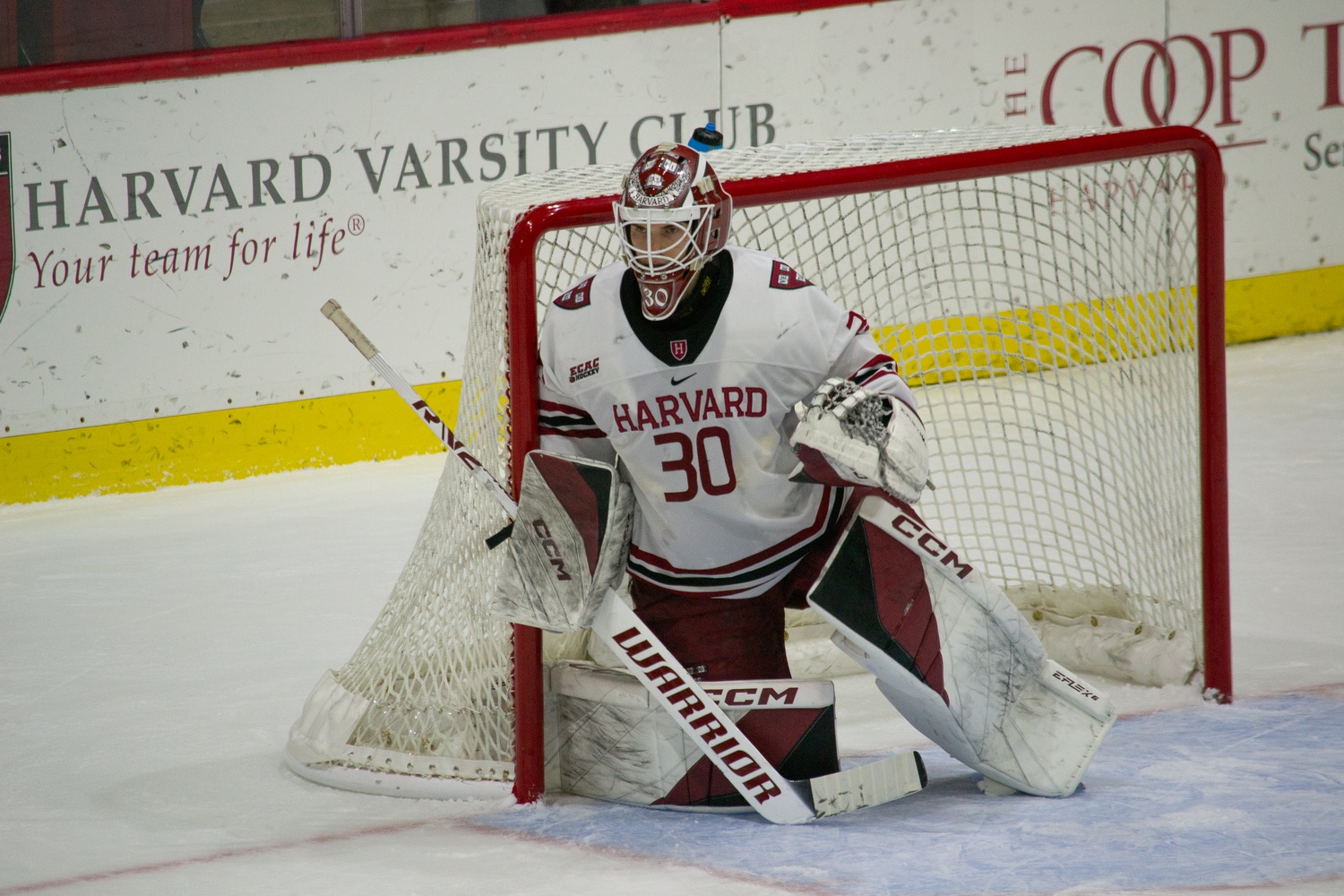 Koskenvuo protects the goal in a regular season matchup against RPI. 