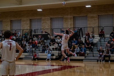 Cover image for Harvard Dominates in Break from EIVA Play