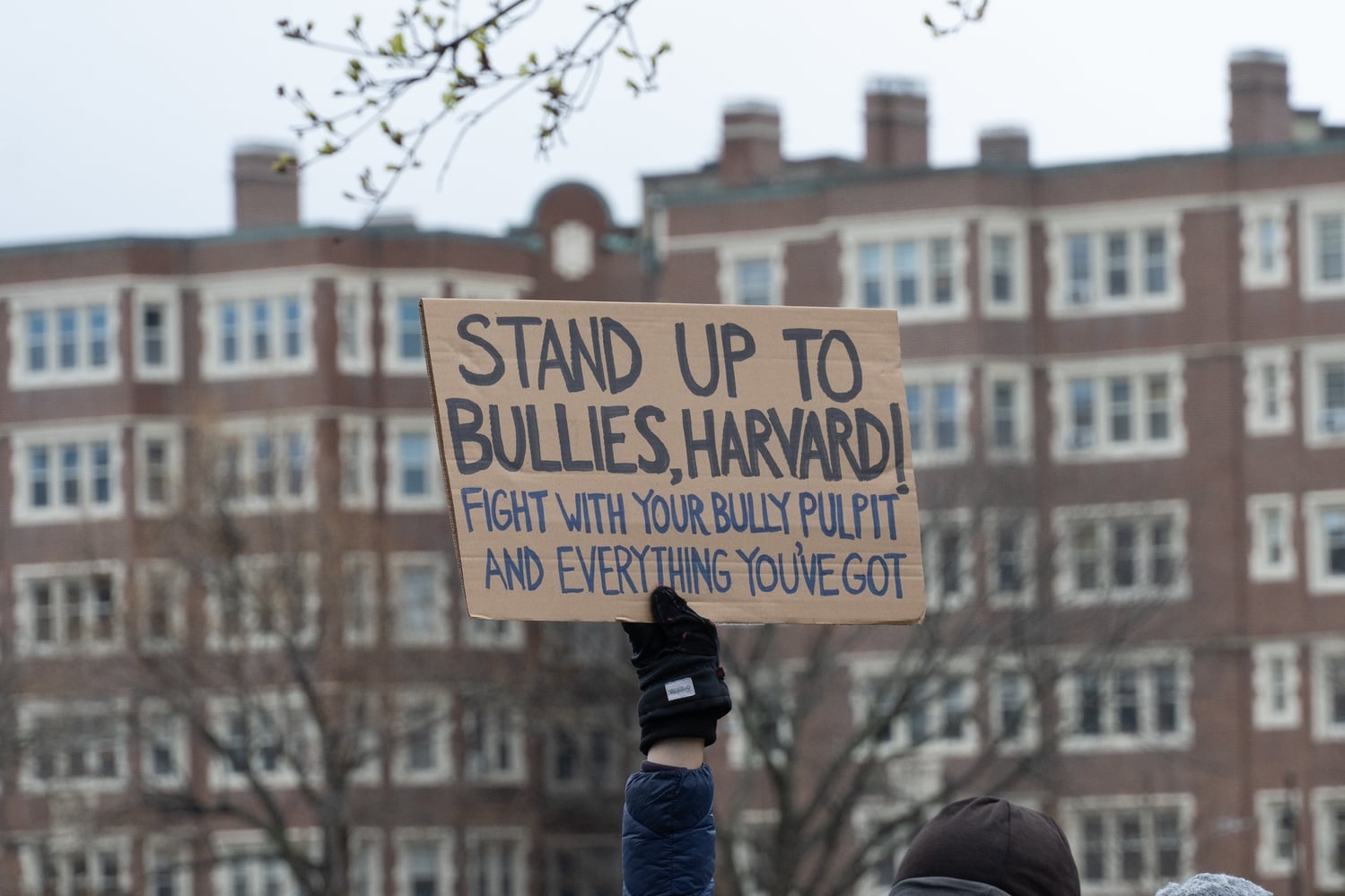 A demonstrator at Saturday’s anti-Trump rally holds a sign asking Harvard to “stand up to bullies.”