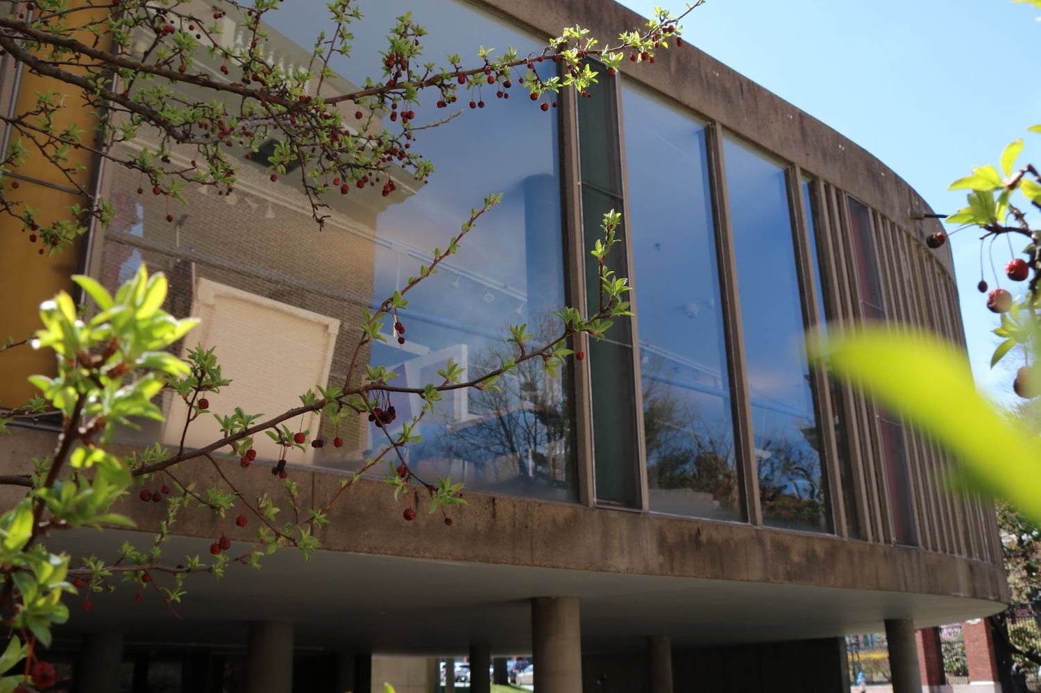The Carpenter Center's windows.