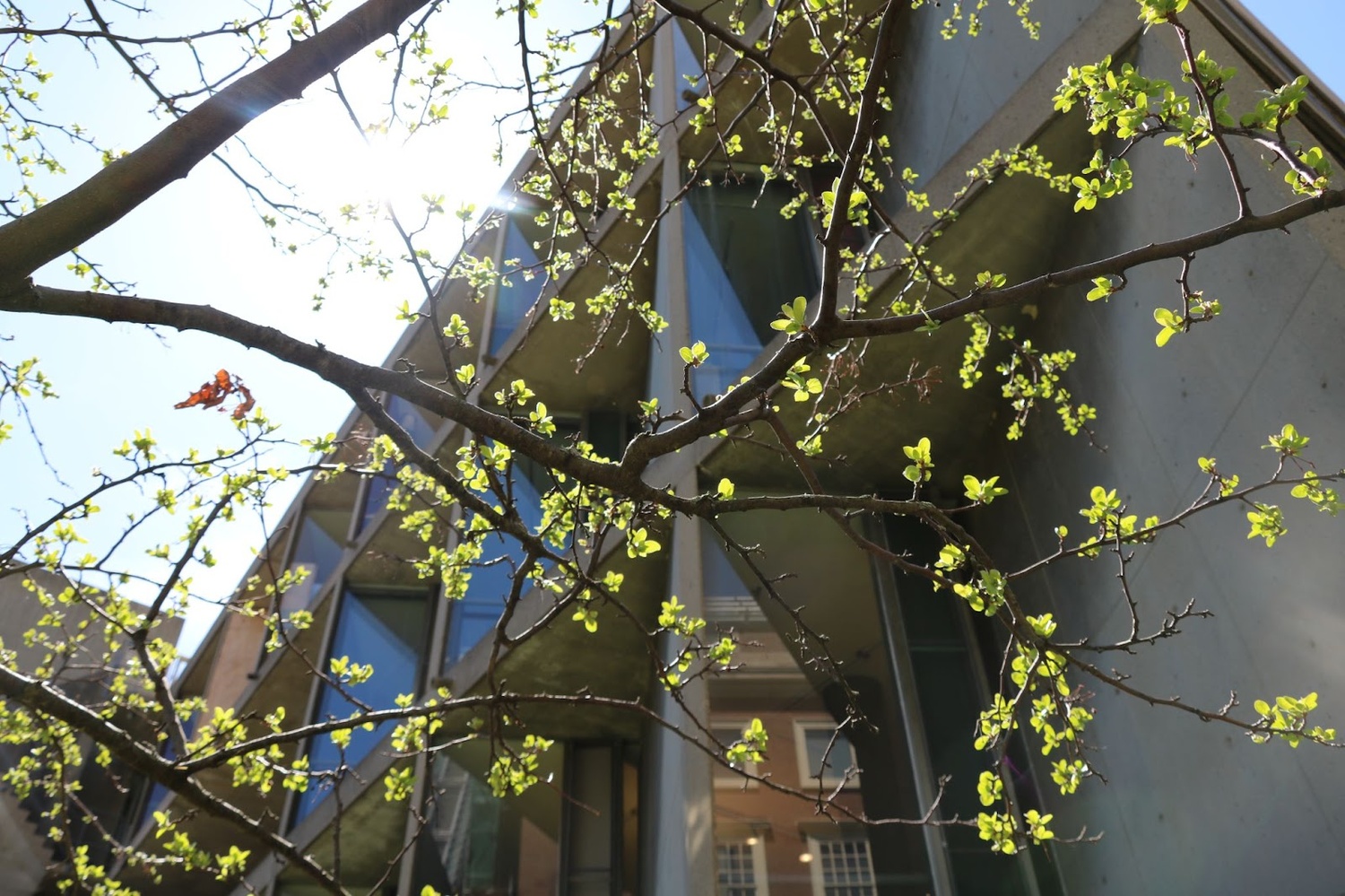 The Carpenter Center's studios.