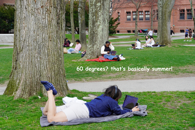 Cover image for How To Enjoy the Semi-Nice Weather