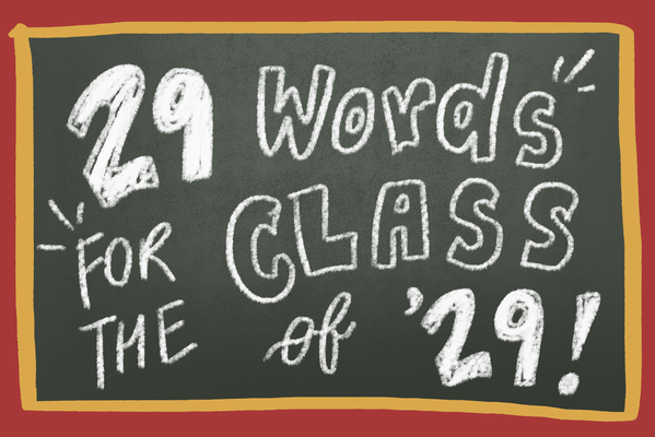 Cover image for 29 Words for the Class of 2029