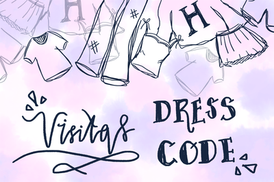 Cover image for Dressing to Impress: Your Guide to the Visitas Runway