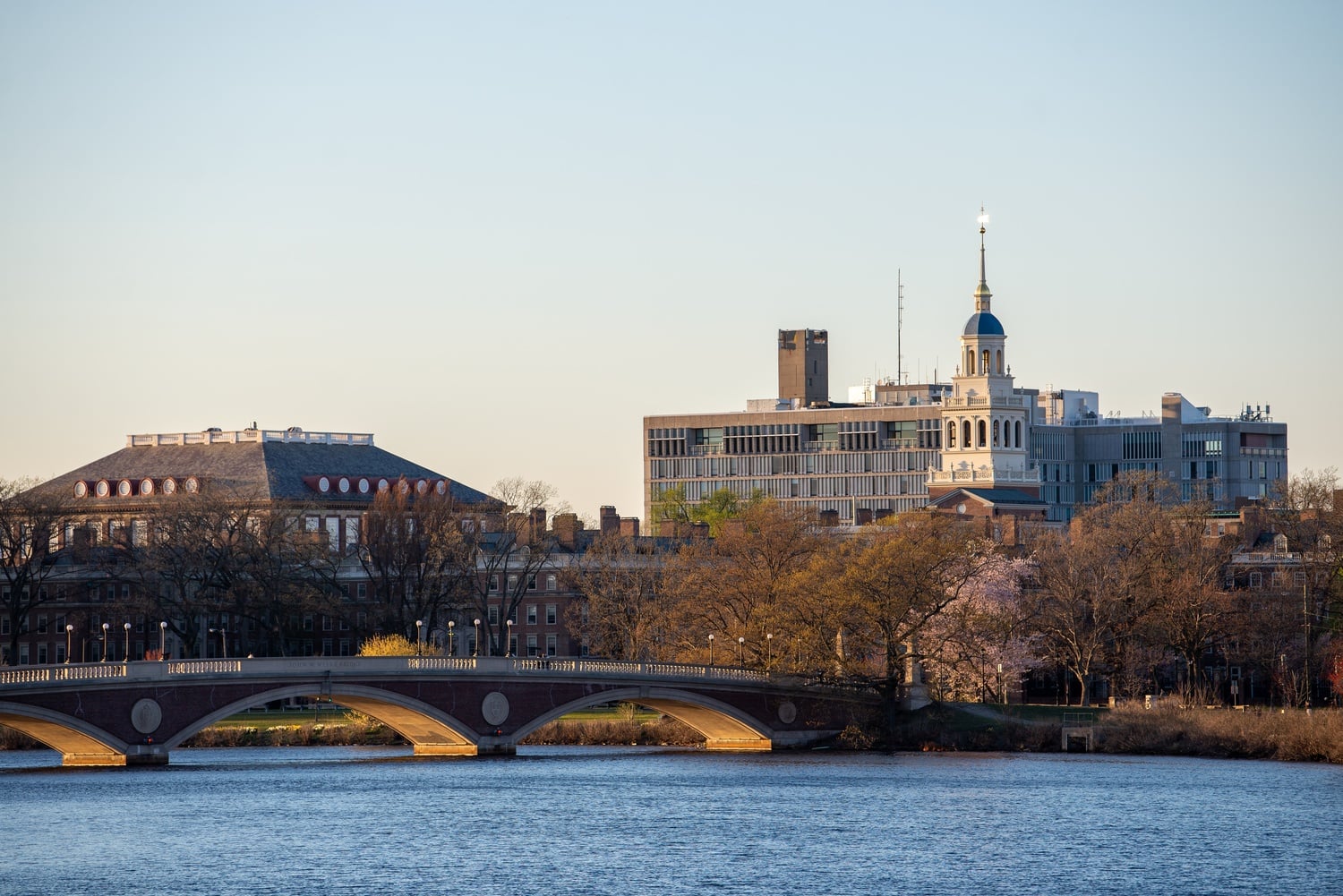 Harvard sued the Trump administration on Friday morning.