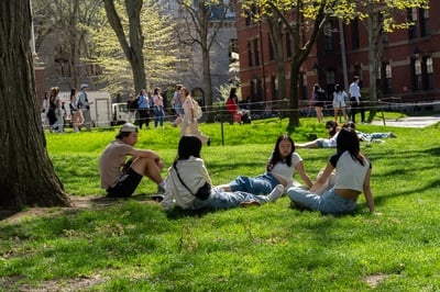 Cover image for Visiting Campus, Admitted Students Cheer On Harvard’s Fight Against Trump