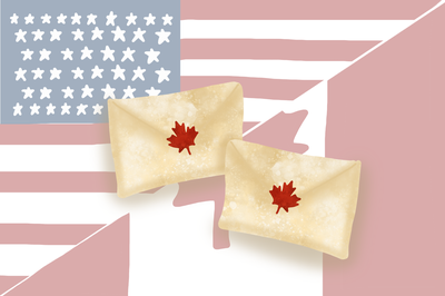Cover image for Harvard Students Feel ‘Disenfranchised’ as Nearly 50 Canadian Mail-In Ballots Never Arrive