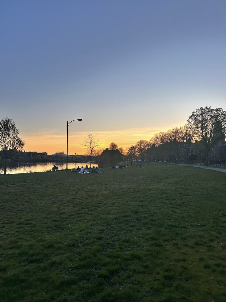 Just last week, as I walked along the river at sunset, I had a moment where all I felt for this place was love.