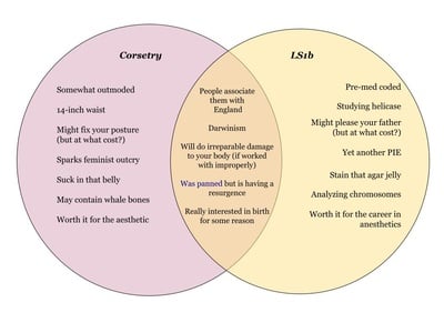 Cover image for Venn Diagram: Corsetry, LS1b