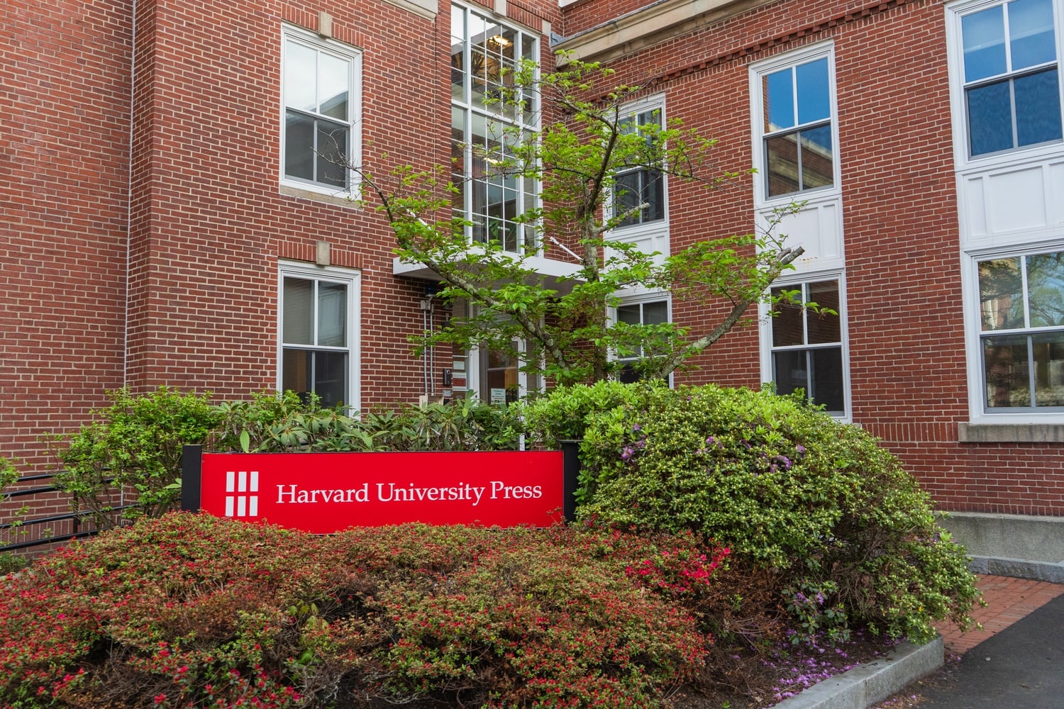 Harvard University Press employees allege that its director has created a toxic work environment for staff.