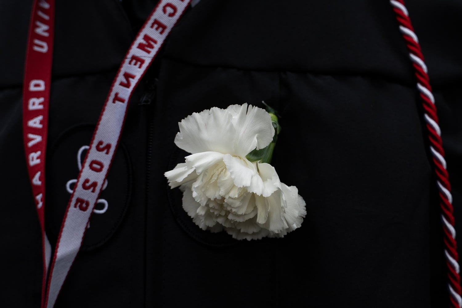 Some students donned white flowers as symbols of support for international students.