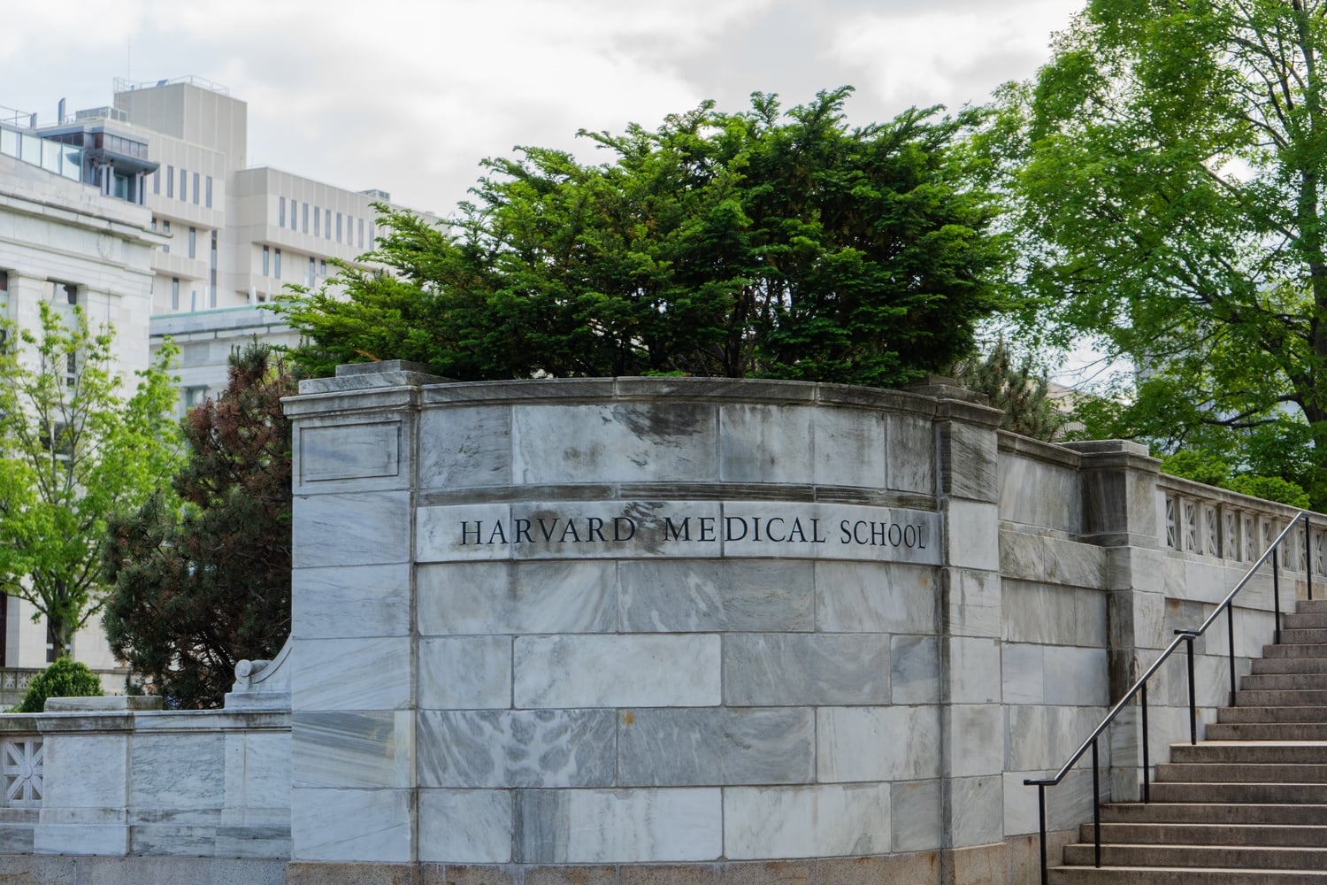 The two men who pleaded guilty to causing an explosion at Harvard Medical School last November were sentenced on Thursday.