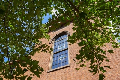 Cover image for Divinity Hall Window