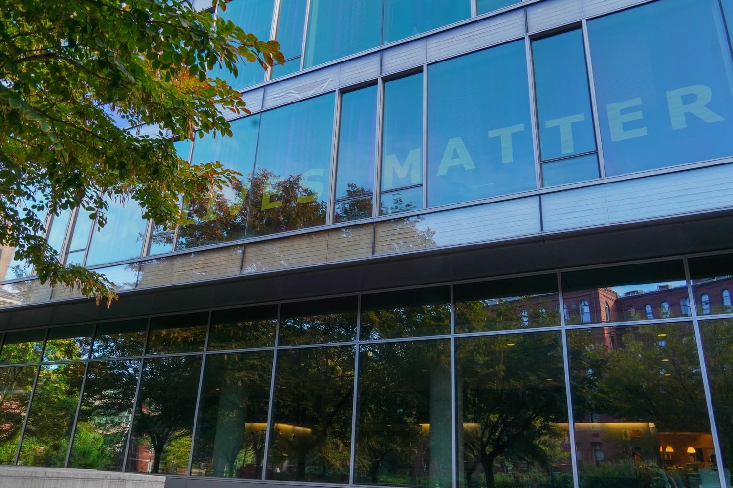 Block letters spell out ‘Black Lives Matter’ in the windows of Northwest Science Building offices belonging to Organismic and Evolutionary Biology professors Bence P. Ölveczky and Mansi Srivastava.