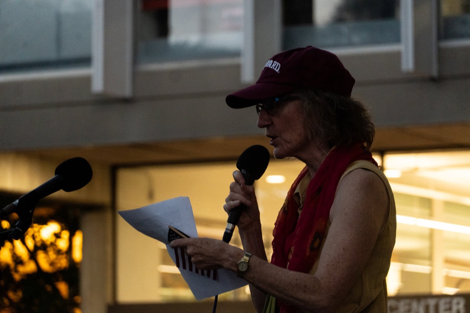 Cambridge City Council member Patricia M. “Patty” Nolan ’80 speaks at the Students for Freedom rally on Saturday.