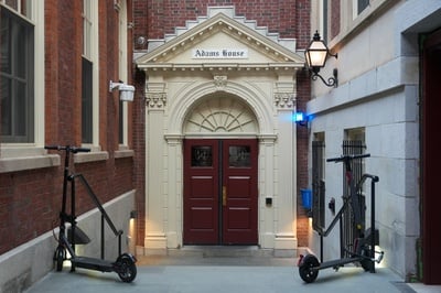 Cover image for Scooters Damage Stonework in Newly Renovated Adams House