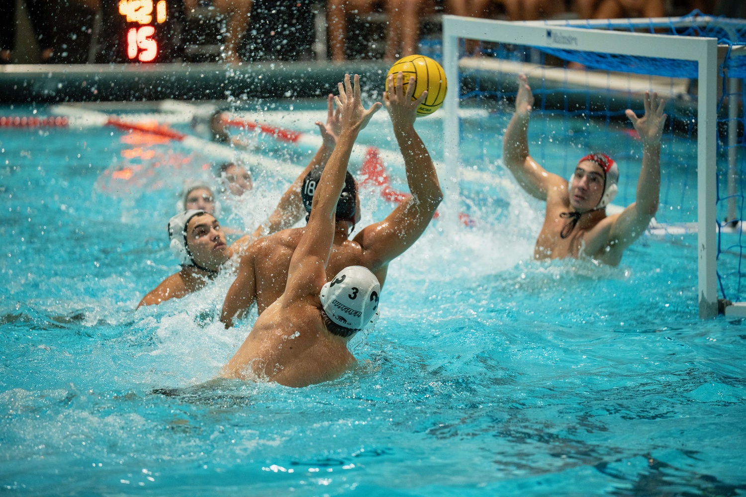 Harvard Men's Water Polo in a game earlier this season.