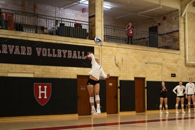 Cover image for Harvard Volleyball Sweeps Brown, Falls to Yale in Senior and Alumni Weekend