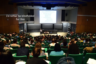 Cover image for Hazed by Harvard