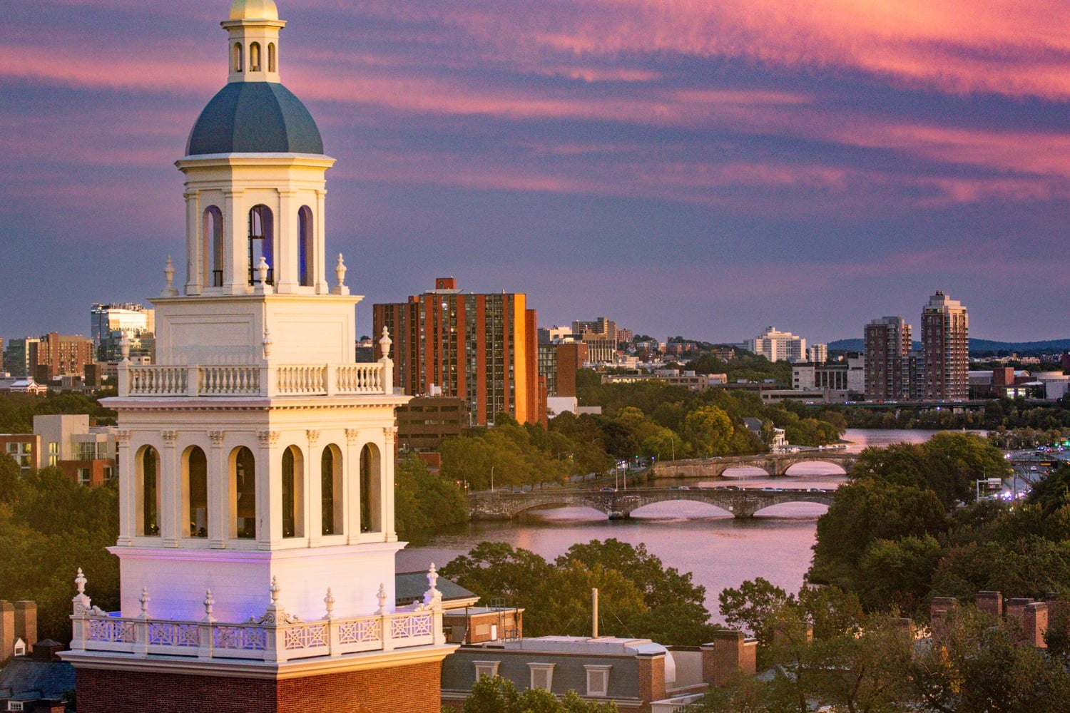 Harvard released its 2024 sustainability report.