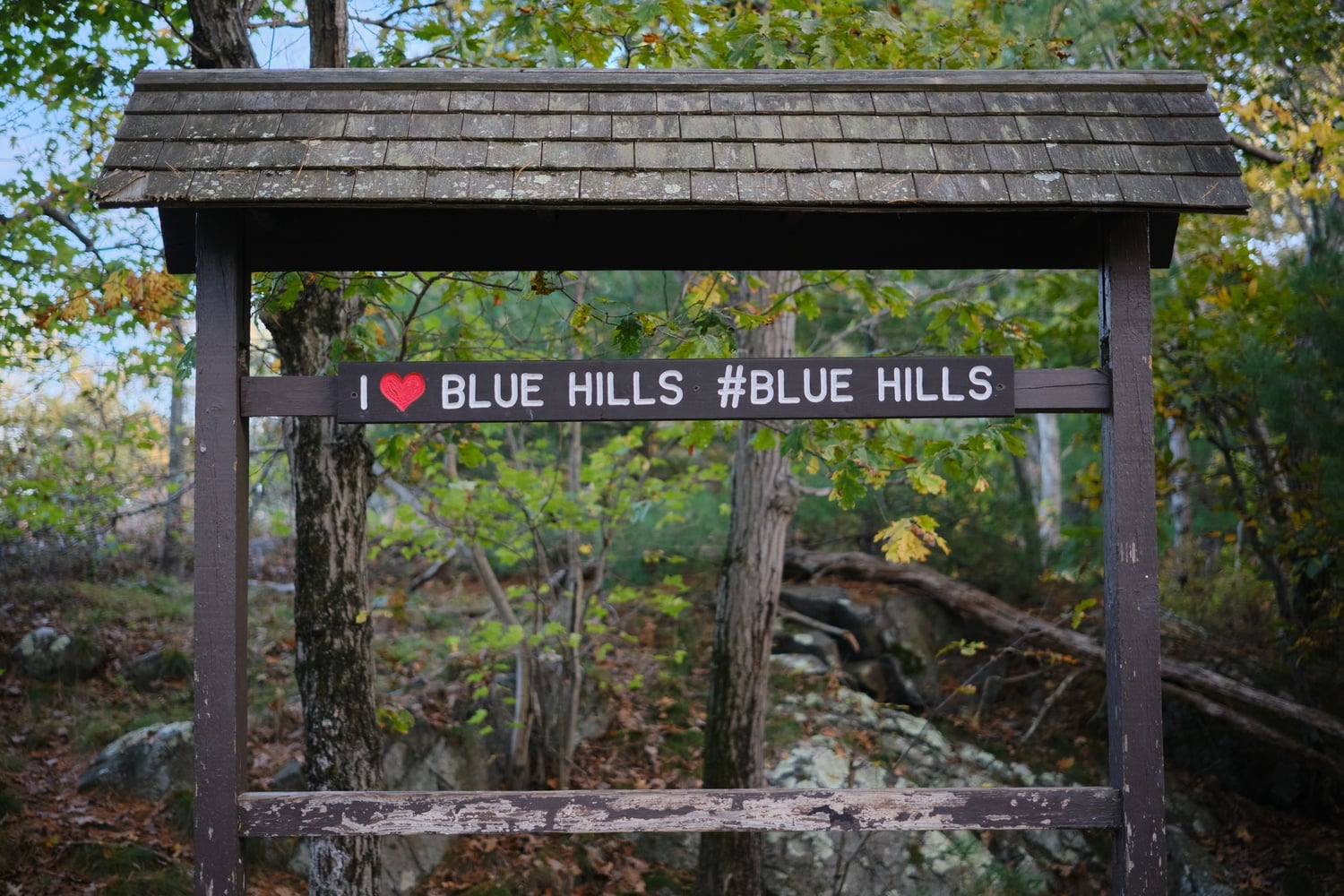 Blue Hills Reservation is located in Milton.