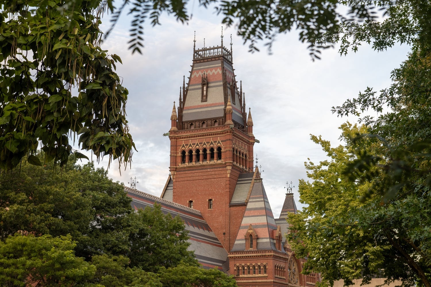 Harvard College Pakistani Students Association raise money for flood relief in Pakistan.