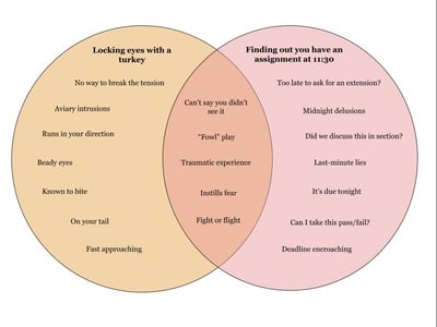 Cover image for Turkey vs. 11:30 Venn Diagram