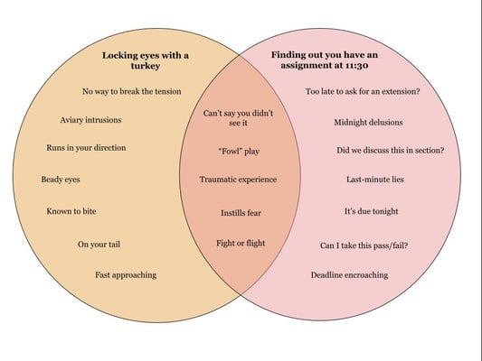 Cover image for Venn Diagram: Locking Eyes With a Turkey, Finding Out You Have an Assignment at 11:30