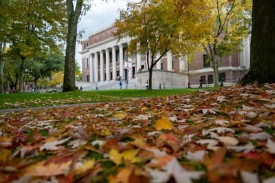 Cover image for Harvard Students Celebrate the Season With Fall Festivities