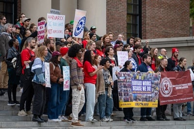 Cover image for Harvard Can Afford Stability. It Just Chooses Not To.